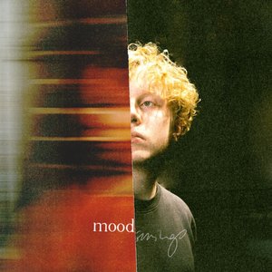 Image for 'moodswings'