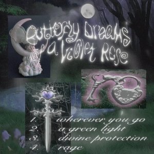 Image for 'Butterfly Dreams Of A Violet Rose'