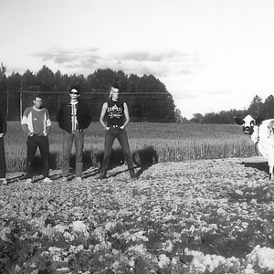 Image for 'Funny Farm'