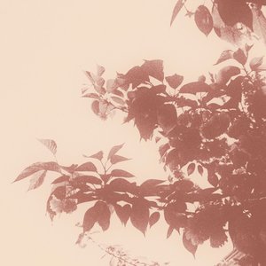 Image for 'spring 2025'