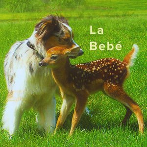 Image for 'La Bebé'