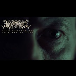 Image for 'Pain Remains III: In a Sea of Fire'