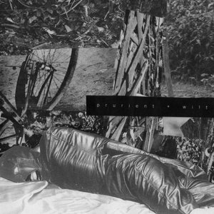 Immagine per 'Prurient + Wilt'