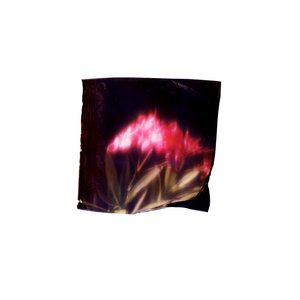 Image for 'Postcards from Nowhere'