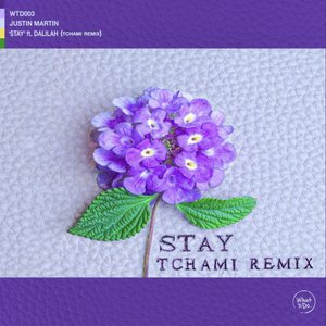 Image for 'Stay (Tchami Remix)'