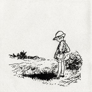 Image for 'Ramona Forever'