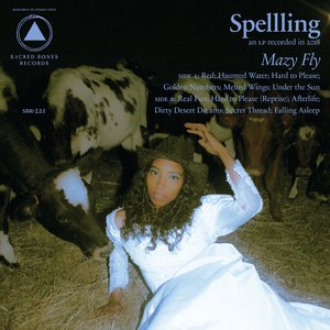 Immagine per 'Mazy Fly'