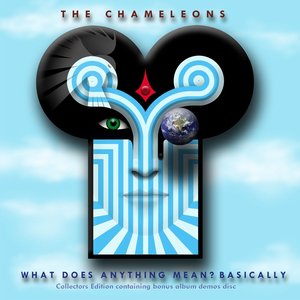 Image for 'What Does Anything Mean?  Basically (2009 Remaster)'