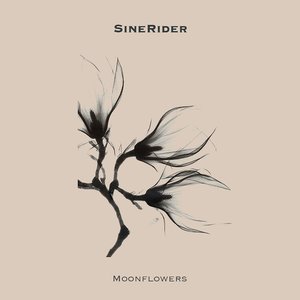 Immagine per 'Moonflowers'