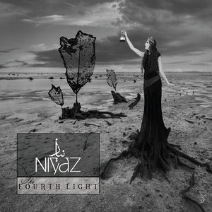 Immagine per 'The Fourth Light'