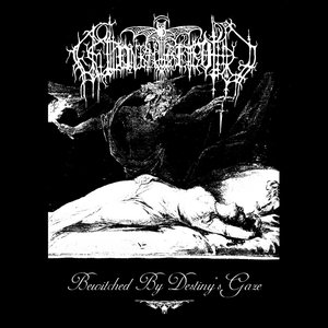 Image for 'Bewitched by Destiny's Gaze'
