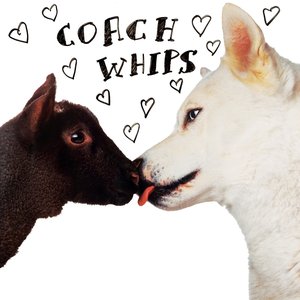 Image for 'Bangers vs. Fuckers'