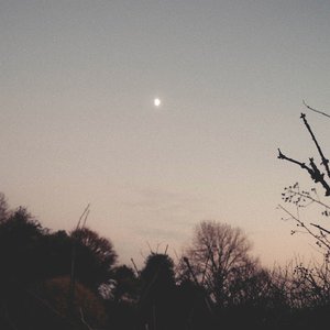 Image for 'Dreamer Awake'