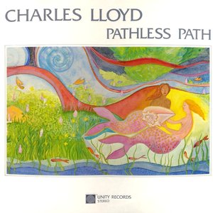 Image for 'Pathless Path'