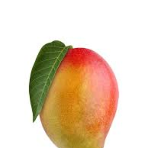 MangoFoxOwO