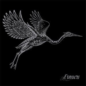 Image for 'Heron'