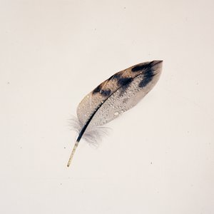 Image for 'Lucky[Hymn]'