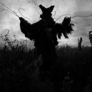 Image for 'MÜÜR'