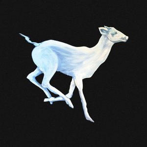 Image for 'Gift Horse'