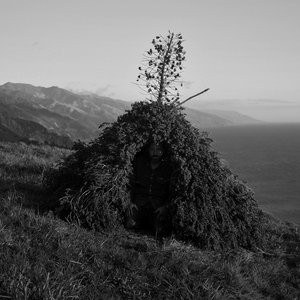 Image for 'Cold Spring'