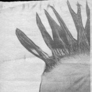 Zdjęcia dla 'Crille'