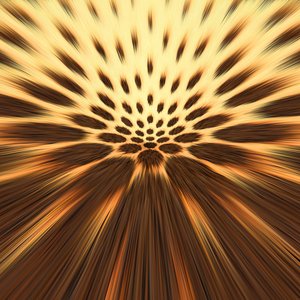 Image for 'Mystery Leopard Spins Tracks At Local Nightclub'