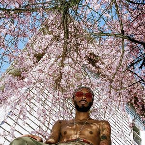 Zdjęcia dla 'JPEGMAFIA'