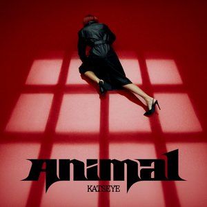 Image for 'Animal (on the dance floor)'