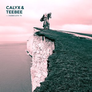 Image for 'FABRICLIVE 76: Calyx & TeeBee'