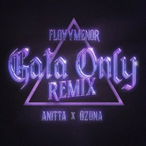 Immagine per 'Gata Only (Remix)'