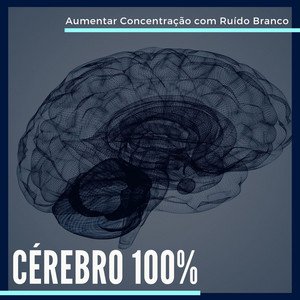 Image for 'Cérebro 100%: Aumentar Concentração e Memorizar Informações com Ruído Branco'