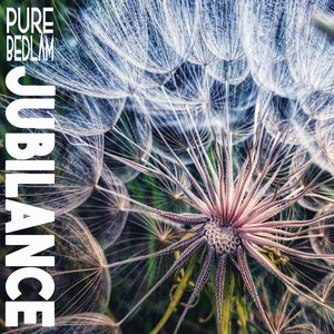 Image for 'Jubilance'
