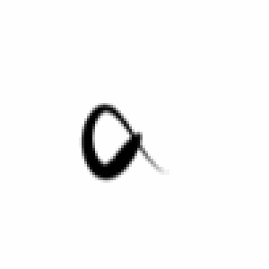 fincan_