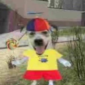 Amonguslmao
