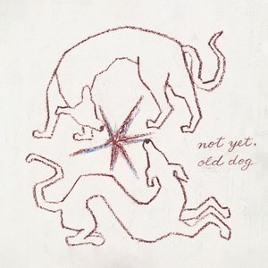 Image for 'Not Afraid of Loud Things'