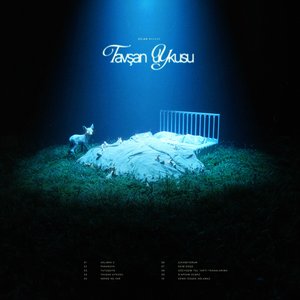 Image for 'Tavşan Uykusu'