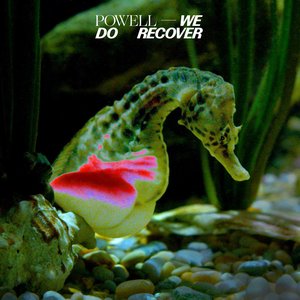 Image for 'We Do Recover'