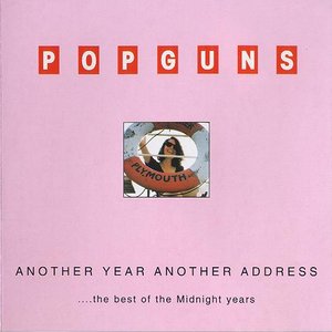 Immagine per 'Another Year, Another Address (Best Of)'