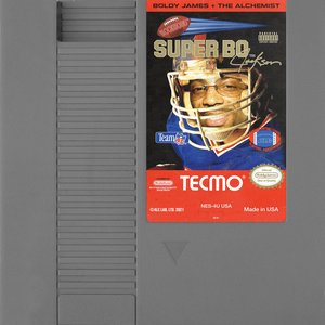 Image for 'Super Tecmo Bo'