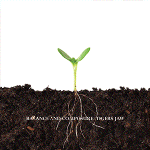 Image for 'Balance And Composure & Tigers Jaw Split'