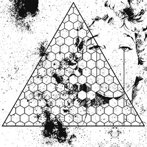 Image for 'Betrayed in the Octagon'