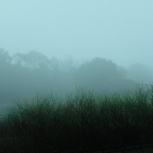 Image for 'LOG by MIYAUCHI YURI'