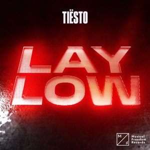 Image for 'Lay Low - Single'