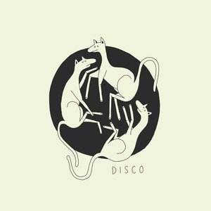 Image for 'Disco'