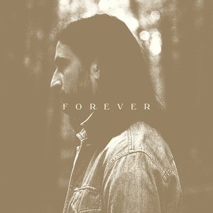 Image for 'Stick Season (Forever)'