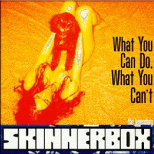 Image for 'What You Can Do, What You Can't'
