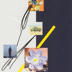 Image for 'billboard for my feelings'