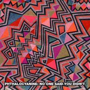 Image for 'No One Said You Didn't'