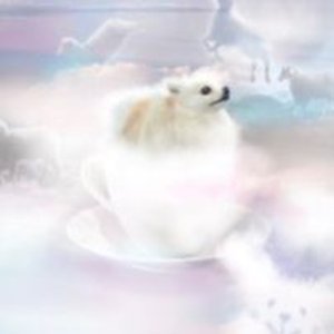 Zdjęcia dla 'dreaming of your latte art - EP'