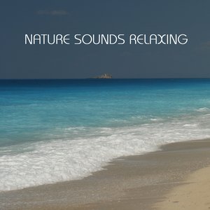 Bild für 'Nature Sounds Relaxing: the Most Relaxing Music Imaginable. Relaxing Sounds of Nature, Sound of Rain, Calm Music and all Nature Sounds for Contemplative and Reflective Minds'